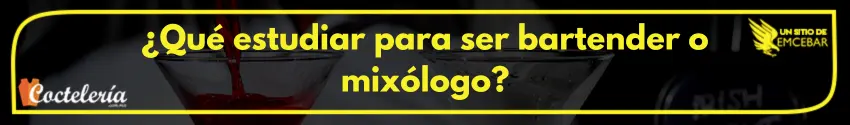 ¿Qué estudiar para ser bartender o mixólogo?