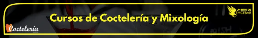Cursos de Coctelería y Mixología