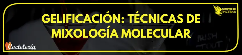 Gelificación: Técnicas de Mixología Molecular