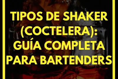 Tipos de Shaker (Coctelera): guía completa para bartenders