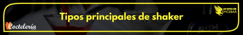 Tipos principales de shaker