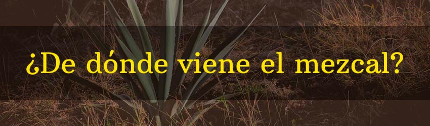 origen del mezcal