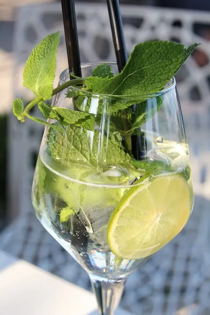 garnitura de hierbas frescas