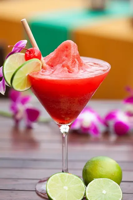LIMONES COMO GARNITURA 