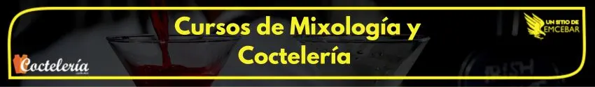 Curso de Mixología y Coctelería 