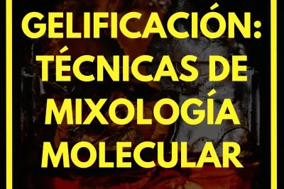 Gelificación: Técnicas de Mixología Molecular