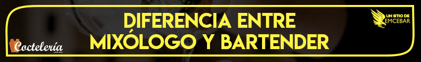 mixologo y bartender