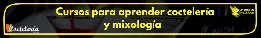 Cursos-para-aprender-cocteleria-y-mixologia- - Cursos de Coctelería Cursos para aprender coctelería y mixología