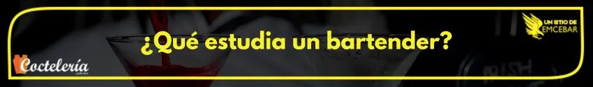 Que-estudia-un-bartender - Cursos de Coctelería que estudia un bartender