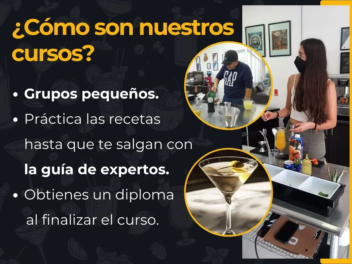 Información de los cursos de coctelería